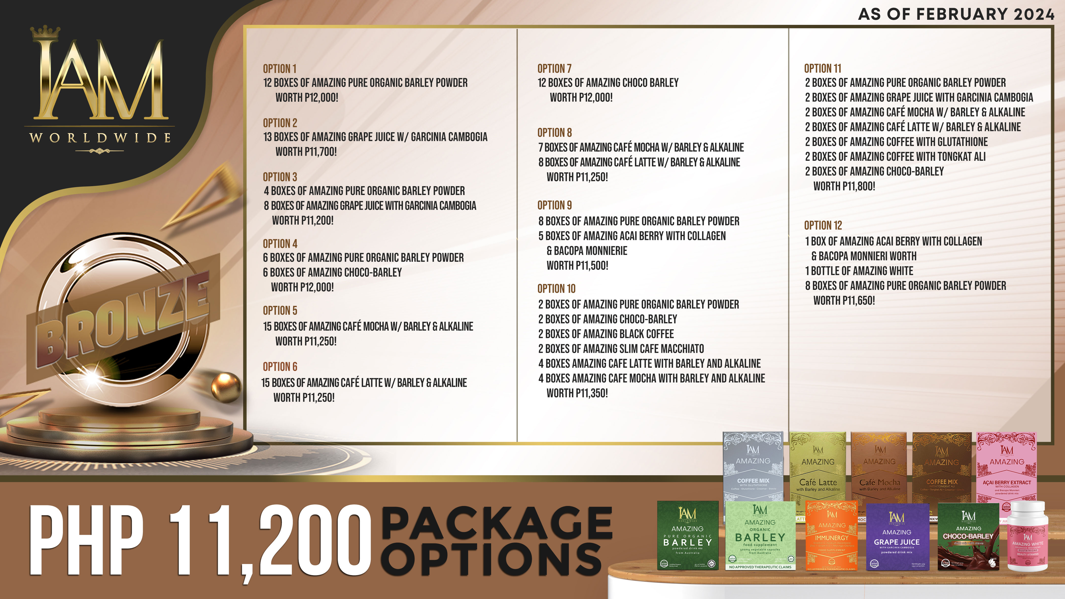Bronze Package