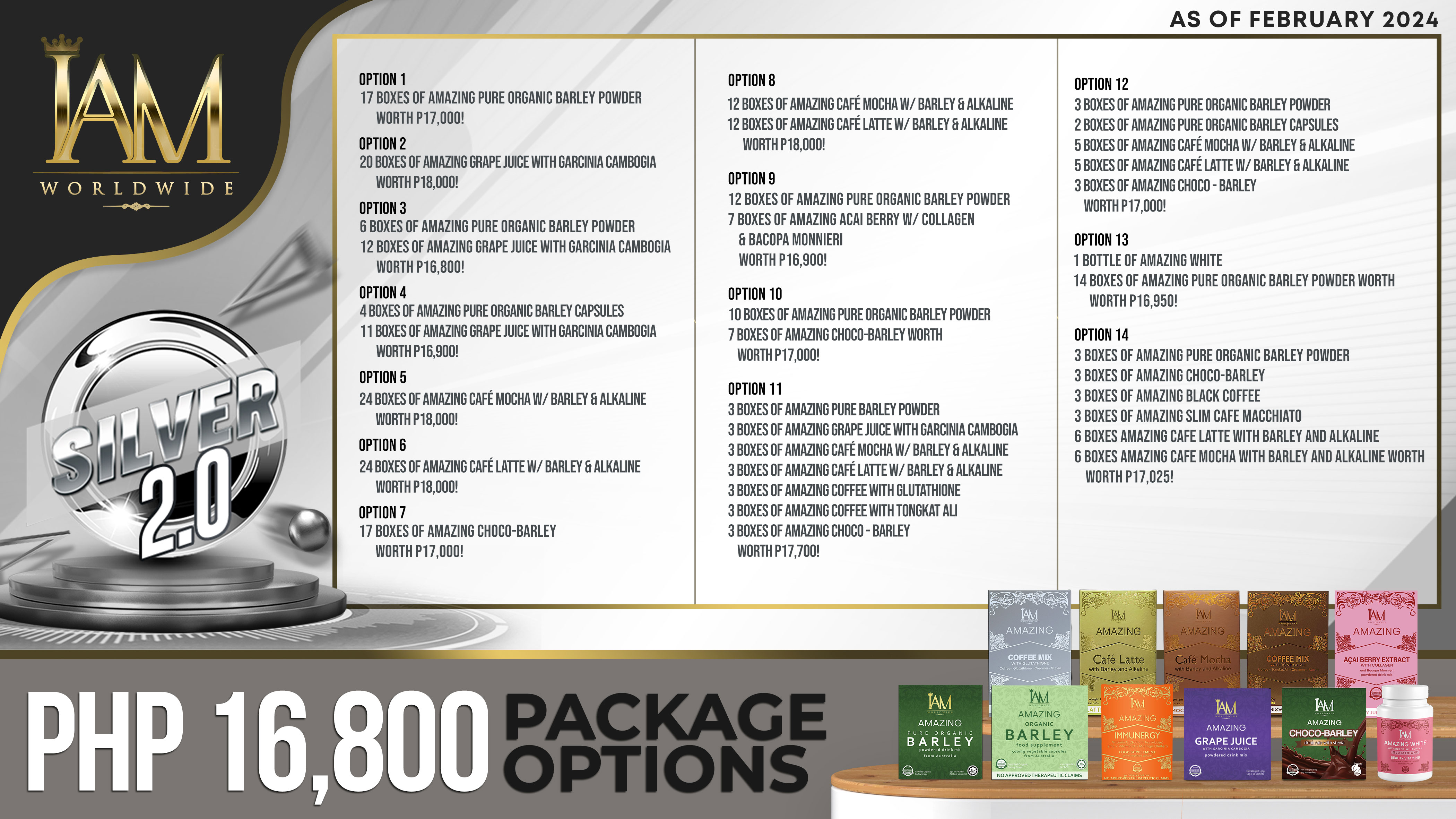 Silver Package